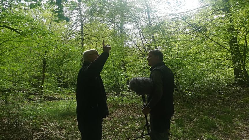 Installing mics in the canopy ready for the dawn chorus